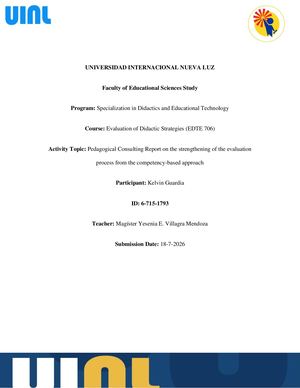 Pedagogical Consultancy Report