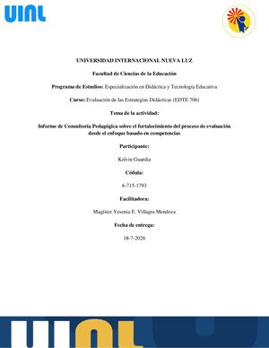 Informe de Consultoría Pedagógica