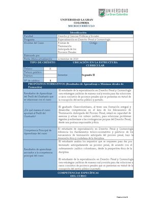 Formas De Terminacion Anticipada Del Proceso Penal