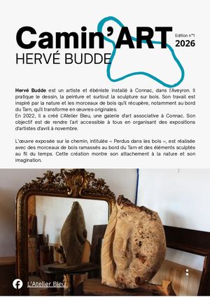 Présentation Camin'art - Herve Budde