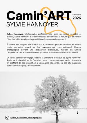 Présentation Camin'art - Sylvie Hannoyer