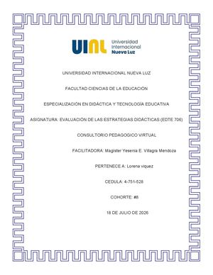 Informe Consultoria Pedagogica Extenso