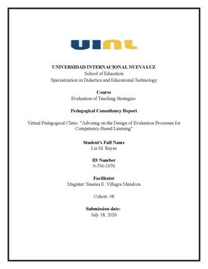 Pedagogical Consultancy Report English