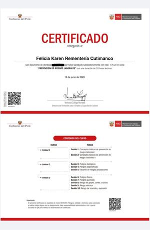 Certificado MTPE Prevención de Riesgos - Felicia Karen Rementería Cutimanco