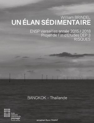UN ÉLAN SÉDIMENTAIRE - William Brindel