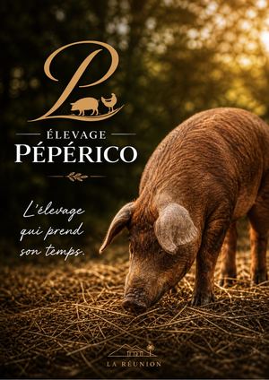 Flyer Pépérico