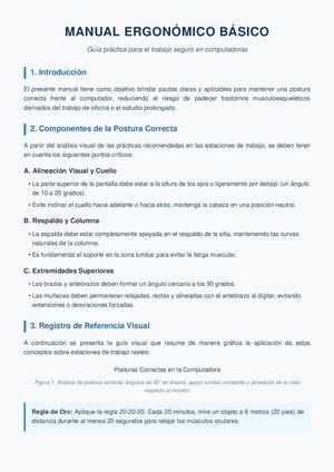 Manual Ergonomico Y Afiche