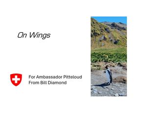 On Wings Wht Background
