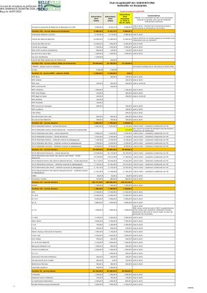 2026 096 PJ TPN 1 2026 096 Annexe Subventions Aux Associations Pdf