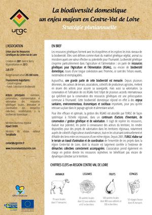 Stratégie pluriannuelle URGC