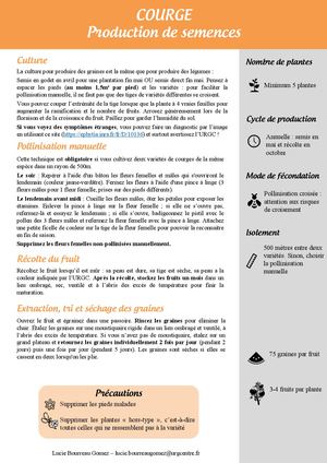 Tuto Production de Semences Courge 2026