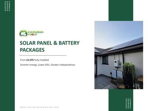 Solar Panel And Battery Packages