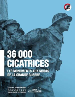 36 000 Cicatrices Feuilletage