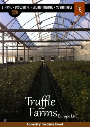Truffle Farms Brochure L & O 01 02 2019 Spain1