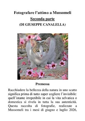 Fotografare L'attimo Seconda Parte (Di Giuseppe Canalella)