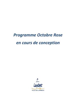 Octobre Rose Bientot En Ligne Calaméo