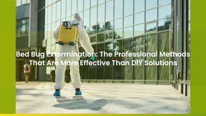 Bed Bug Extermination: The Professional Methods That Are More Effective Than DIY Solutions
