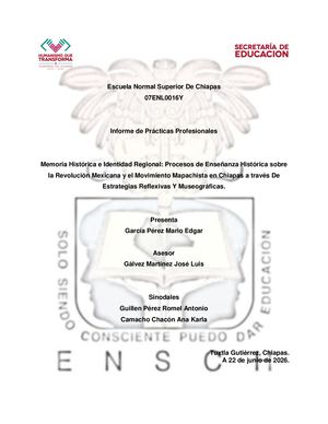 Informe De Prácticas Profesionales
