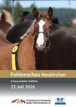 Fohlenschau Neukirchen 2026