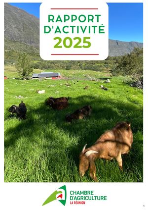 Rapport D'activité 2025 Chambre D'agriculture La Réunion
