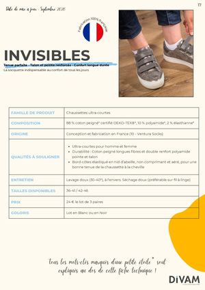 Invisibles