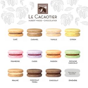 Dépliant Macarons Pour Site Internet