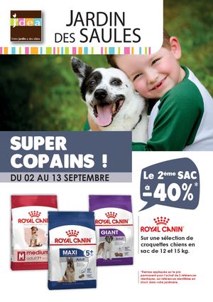 P0 Rn A4 4p Dep Sept 2026 Saules Compressed