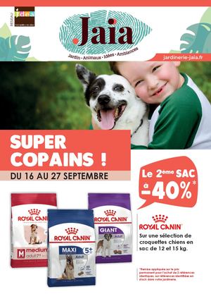P0 Rq A4 4p Dep Sept 2026 Jaïa Compressed