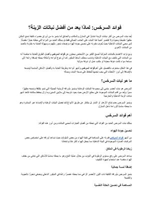 فوائد السرخس لماذا يعد من أفضل نباتات الزينة؟