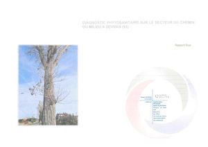 Rapport Phytosanitaire Arbres Chemin Du Milieu