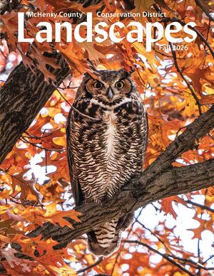 2026 Fall Landscapes