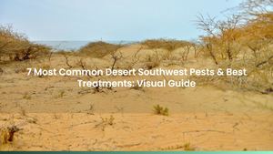 7 Most Common Desert Southwest Pests & Best Treatments: Visual Guide