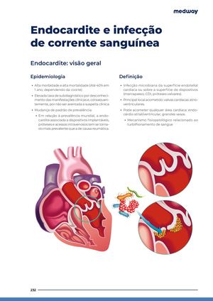 Endocardite E Infeccao De Corrente Sanguinea Wq39tiz