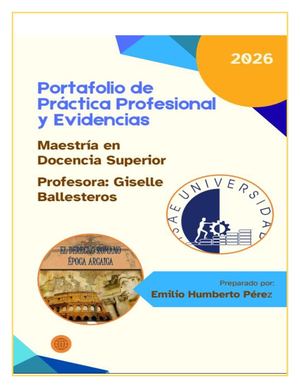 Portafolio Practica Profesional