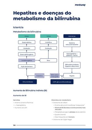 Hepatites E Doencas Do Metabolismo Da Bilirrubina Nh8guc6