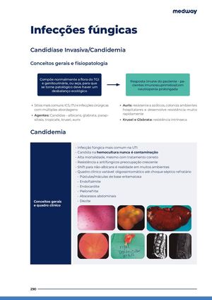 Infeccoes Fungicas Rjgp Guf
