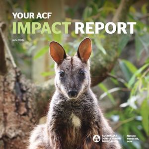 ACF Impact Report July 2026