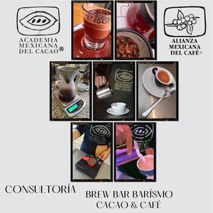 Academia Mexicana Del Cacao Presentacion 04