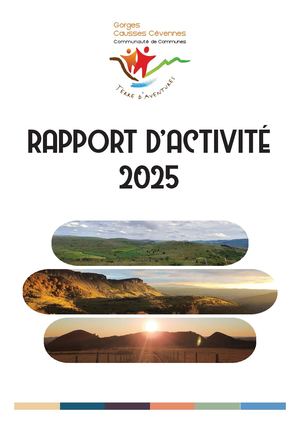 Rapport Activité 2025