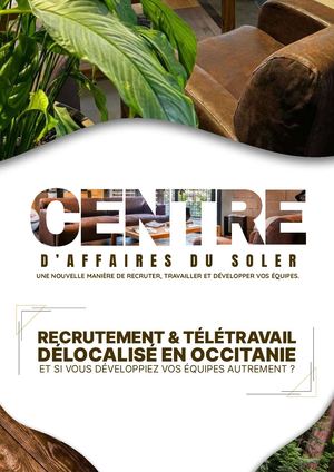 Recrutement & Télétravail Délocalisé En Occitanie 2