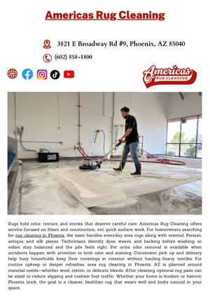 Americas Rug Cleaning