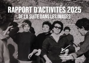 Rapport D'activites 2025