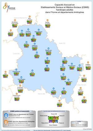 Carte ESMS PH Adultes 89