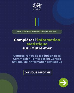 Rapport Cnis