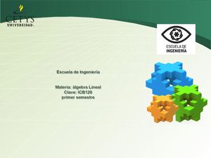 Algebra Lineal Introduccion2026