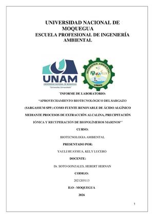 Informe Acido Alginico