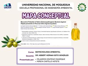 MAPA CONCEPTUAL DE POTENCIAL DE BIOCONTROL DE BACTERIAS ENTOMOPATÓGENAS NATIVAS CONTRA Palpita persimilis EN AGROECOSISTEMAS DE OLIVO (PERÚ)