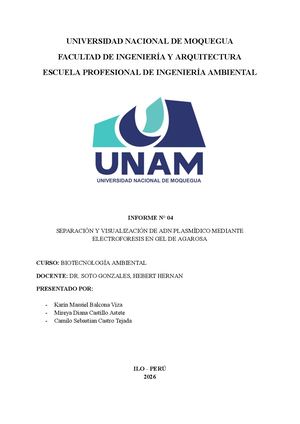 Separacion De Adn Plasmidico Mdiante Electroforesis