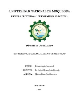 Práctica De Laboratorio Mireya