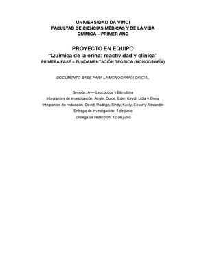 Monografia Oficial Proyecto Quimica Orina